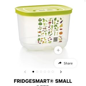 NWT Fridgesmart small deep container.